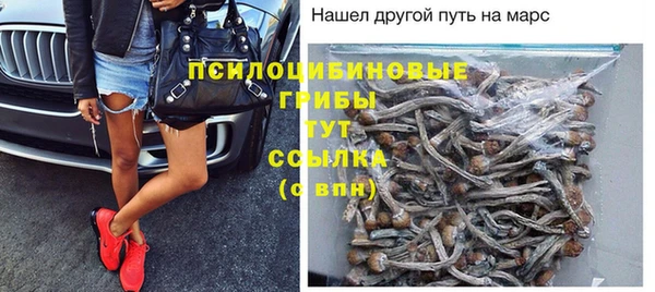 мет Абаза