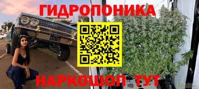 MESCALINE Гай