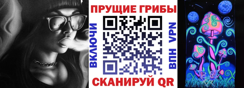 Псилоцибиновые грибы MAGIC MUSHROOMS что такое Алатырь
