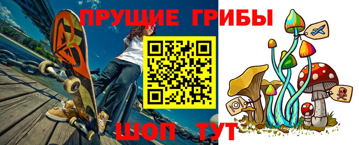 Галлюциногенные грибы Psilocybine cubensis  Вход с VPN  Алатырь 