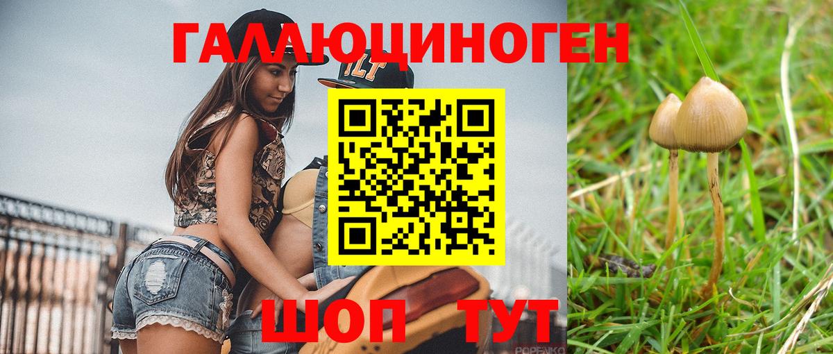 Галлюциногенные грибы мицелий  Псилоцибиновые грибы Magic Shrooms  Вход с VPN  Алатырь 