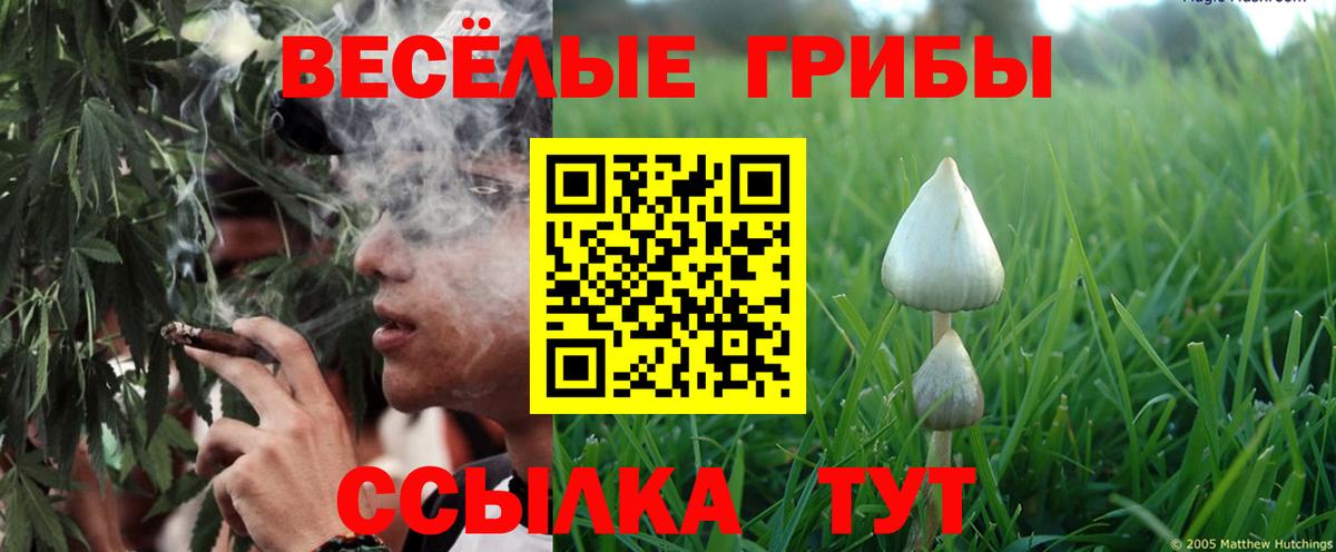 Псилоцибиновые грибы мухоморы Алатырь
